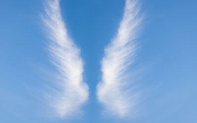 Al encuentro de un ángel