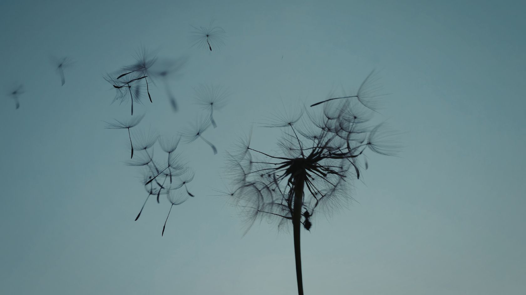 Las palabras, otra forma de viento…